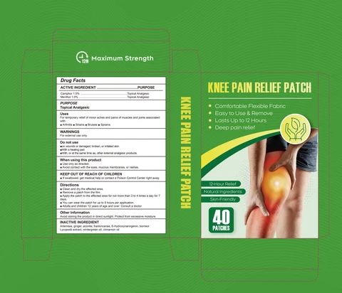 KNEE PAIN RELIRF Patch 포장