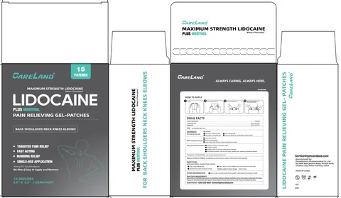 Careland Lidocaine Plus Menthol Pain Relieving Gel Patches 포장