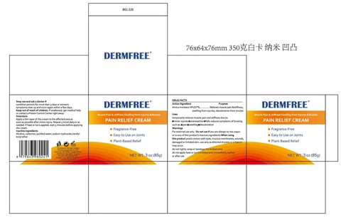 DERMFREE PAIN RELIEF 포장