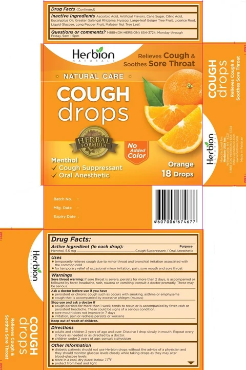 Herbion Naturals Orange 포장