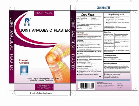 Joint Analgesic Plaster packaging