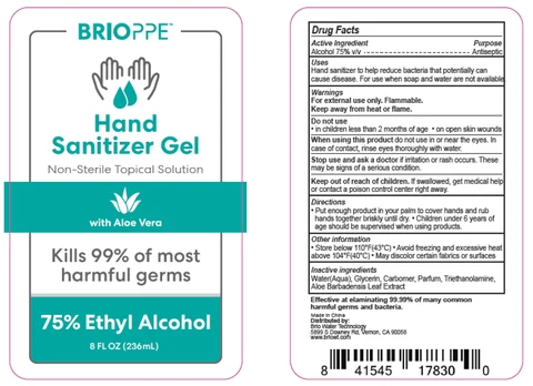 BRIOPPE Hand Sanitizer 포장