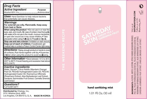 Saturday Skin Hand Sanitizing Mist 포장
