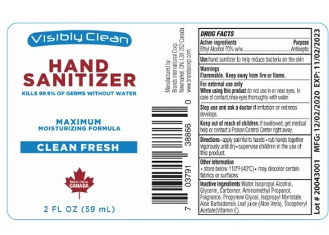 Visibly Clean Hand Sanitizer 포장