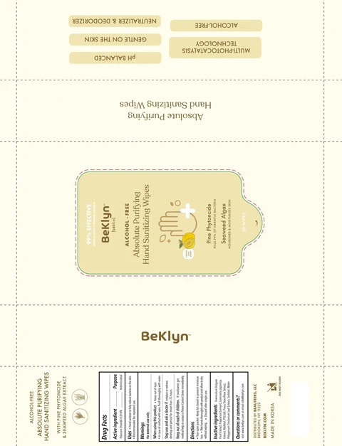 Beklyn Absolute Purifying Hand Sanitizing Wipes 포장