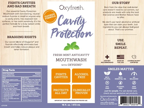 Cavity Protection Fresh Mint Anticavity Mouthwash 포장