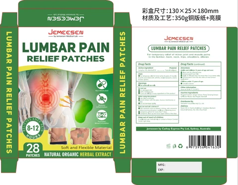 LUMBAR PAIN RELIEF PATCHES packaging