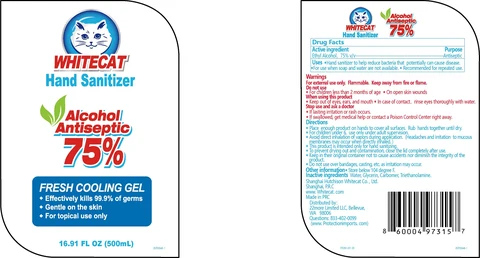Hand Sanitizer packaging
