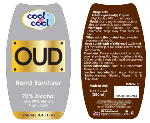 Hand Sanitizer250ml packaging