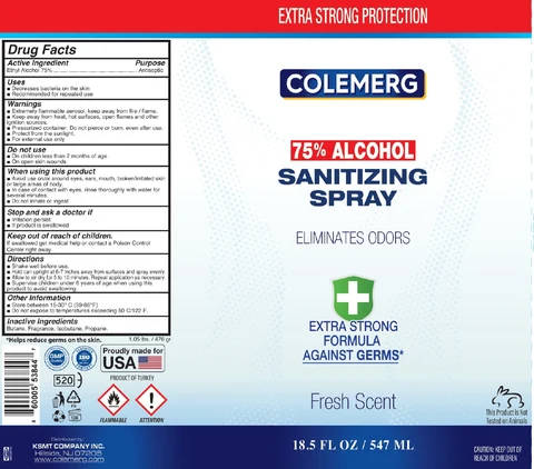 Colemerg 75 Alcohol Sanitizing 포장