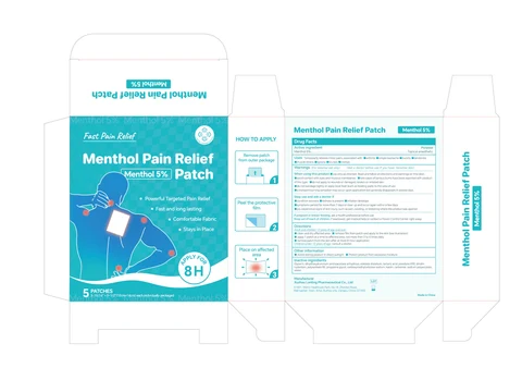 5% Menthol Pain Relief Patch 포장