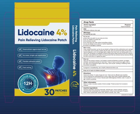 Lidocaine Patch packaging