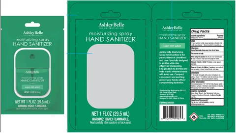 Ashley Belle Moisturizing Hand Sanitizer Sweet Mint Splash 포장