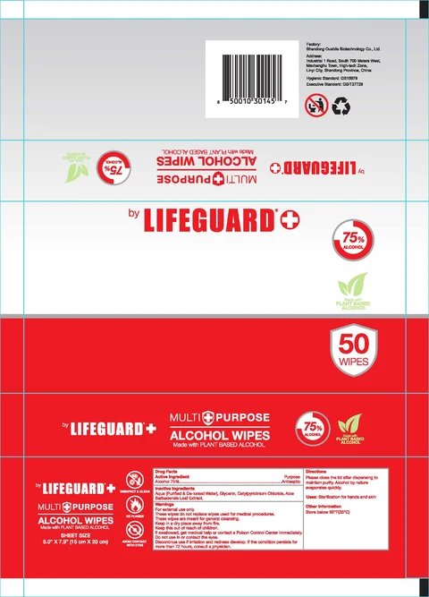 ALCOHOL WIPES 포장
