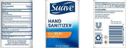 Suave Hand Sanitizer Professional 포장