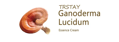 TRSTAY Ganoderma Lucidum Essence Cream 포장