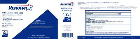 Renown Antibacterial Hand 포장