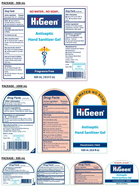 HiGeen Antiseptic Hand Sanitizer Gel Fragrance Free 포장