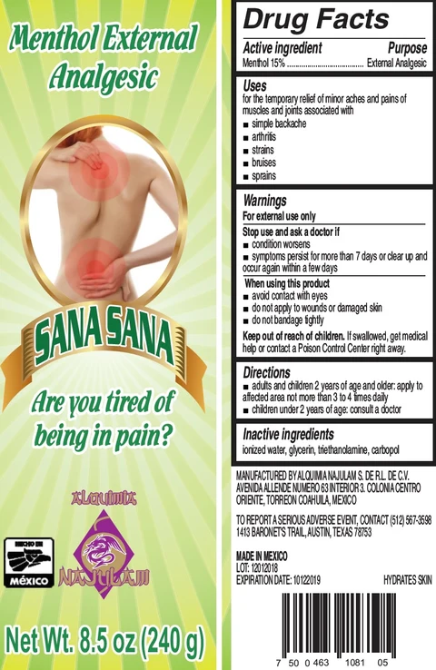 SANA SANA Menthol External Analgesic 포장