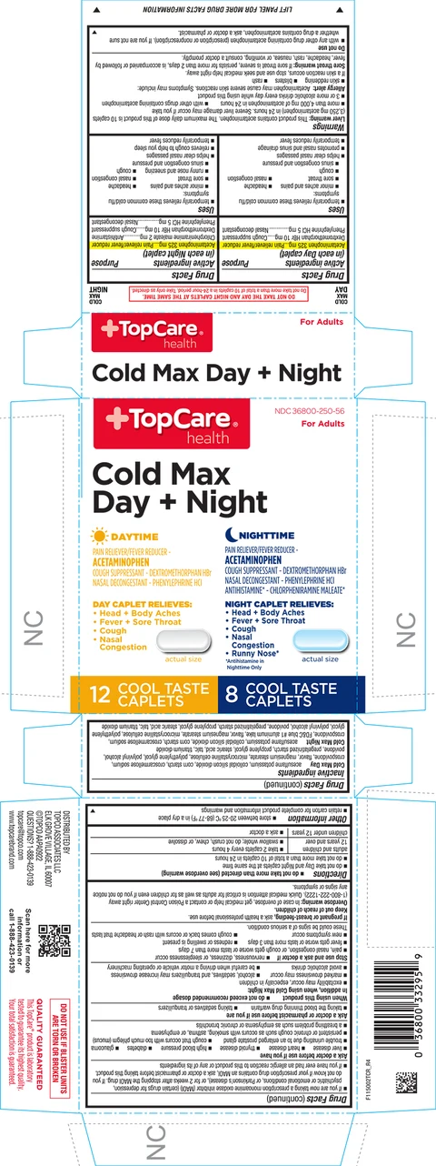 Cold Relief Multi-Symptom 포장
