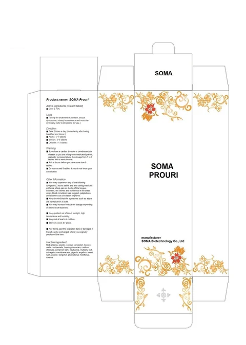 SOMA Prouri 포장