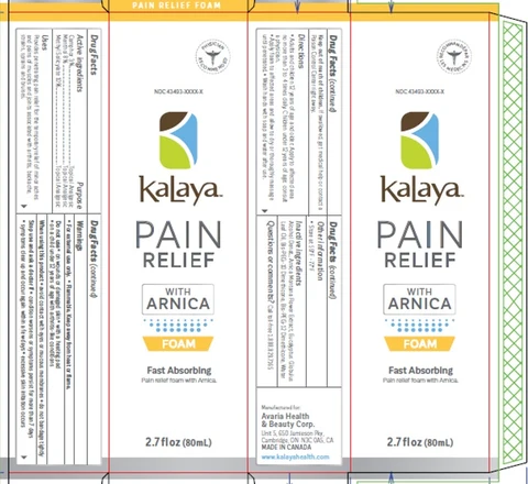KALAYA FOAMING PAIN RELIEF 포장