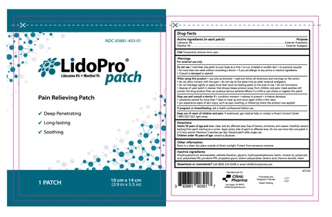 LidoPro packaging