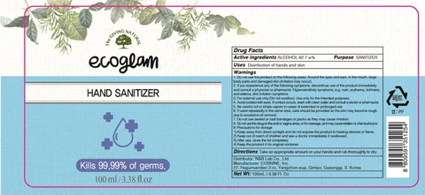 SKINZEN ECOGLAM SANITIZER 포장