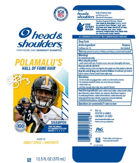 Head and Shoulders Polamalu s Hall of Fame Hair packaging