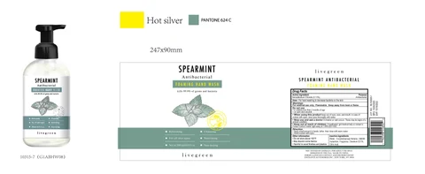 livegreen SPEARMINT Antibacterial FOAMING HAND WASH 포장