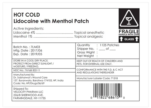 Hot and Cold Lidocaine with Menthol PatchPain Relief 포장