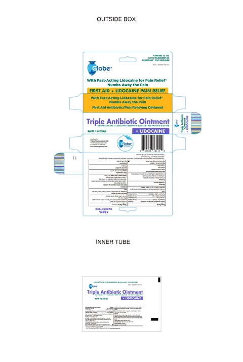 4081 GLOBE TRIPLE ANTIBIOTIC OINTMENT LIDOCAINE 1OZ 042125 CDER
