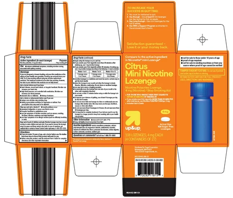 up and up citrus mini nicotine 포장