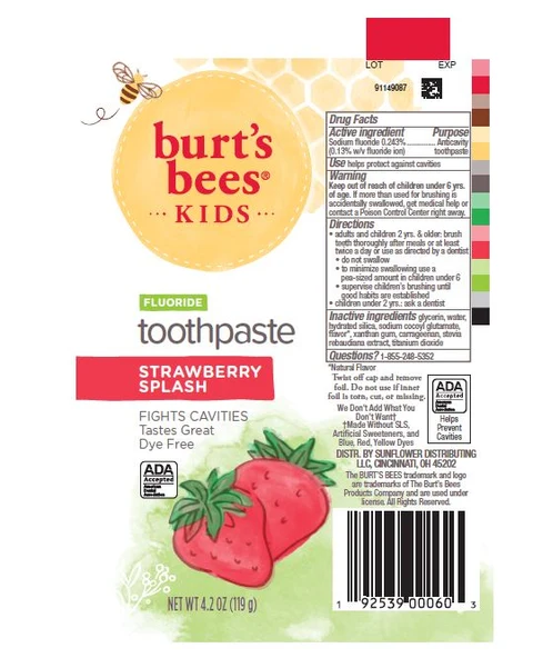 Burts BeesKids Strawberry Splash packaging