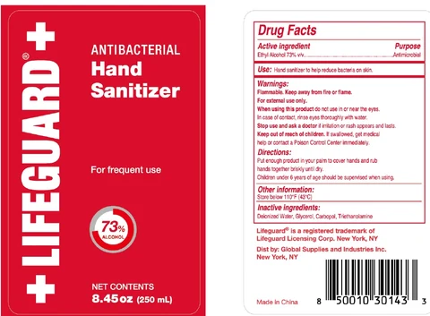 Antibacterial Hand Sanitizer 포장