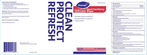 Soft Care Hand Sanitizing Wipes 포장
