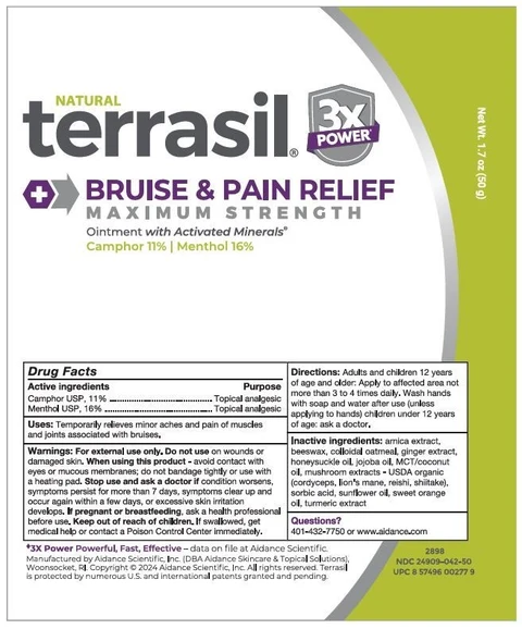terrasil Bruise and Pain Relief Maximum Strength 포장
