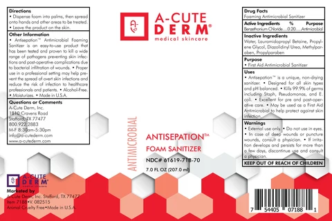 ANTIMICROBIAL FOAMING SANITIZER 포장