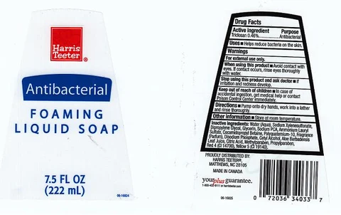 ANTIBACTERIAL FOAMING 포장