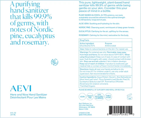 Aevi Here and Now Hand Sanitizer 포장